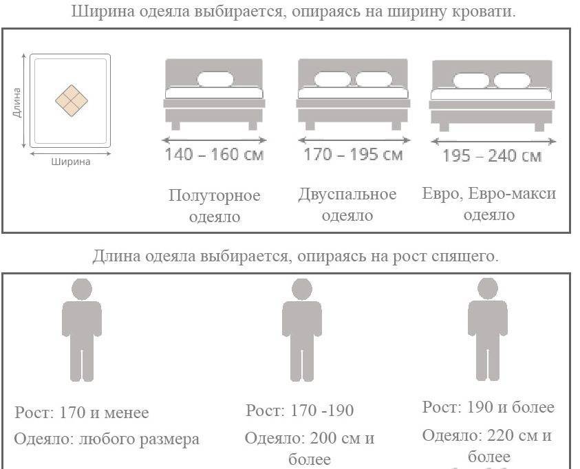 Размеры одеял: какие бывают, их параметры и особенности